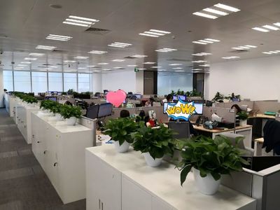 喬遷大吉！級掌柜新辦公空間全面揭秘，科技與舒適完美融合